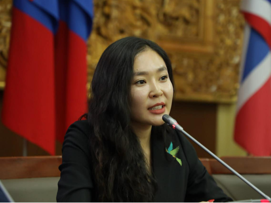 УИХ-ын гишүүн С.Цэнгүүн бусад эх үүсвэрийн 21 томилолтоо тайлбарлах нь зүйтэй